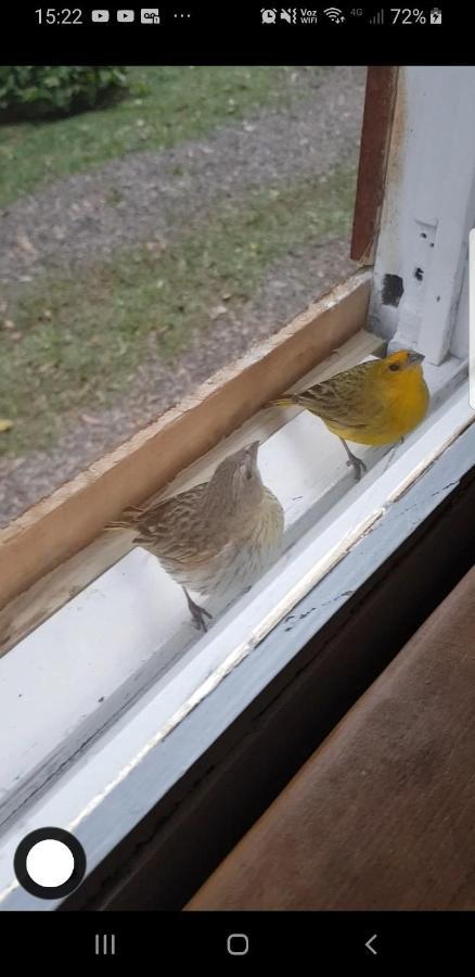 Chale Espelhado No Itaimbezinho Villa Praia Grande  Kültér fotó